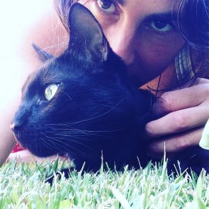 gatos y personas compartiendo