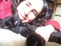 Gato maestro