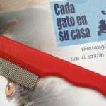 peine gato pulgas