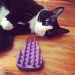 peine para gato kong 