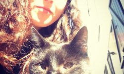 mi gato no ve bien