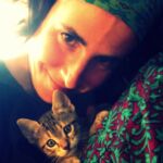 amor de gatito