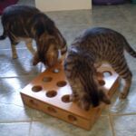 Caja para cazar premios o juguetes